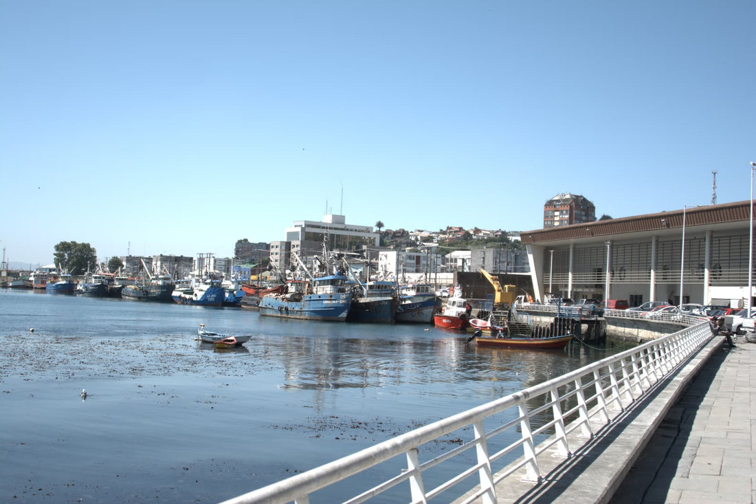 Patrón de Pesca Costero y de Alta Mar: requisitos y atribuciones
