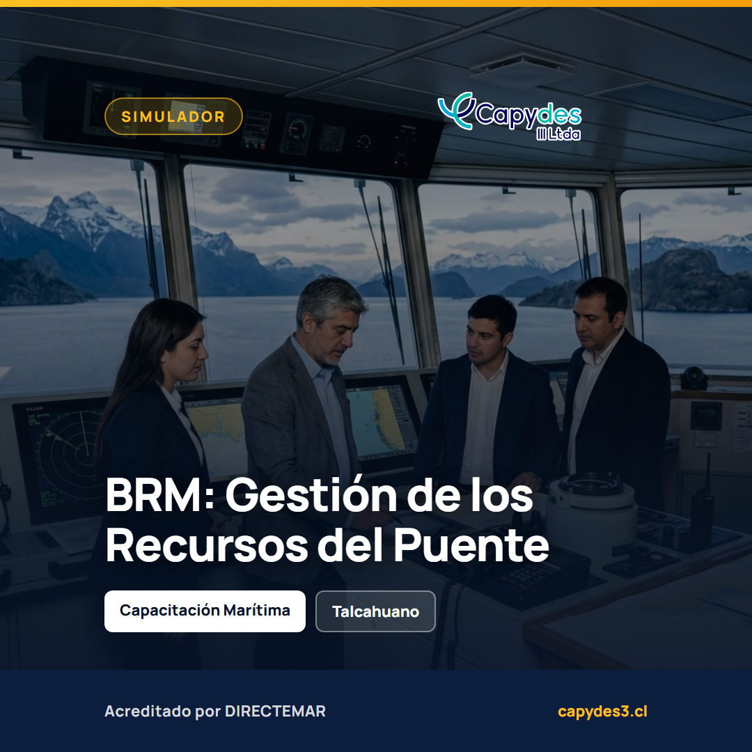 BRM - Gestión de los recursos del Puente | Capydes III